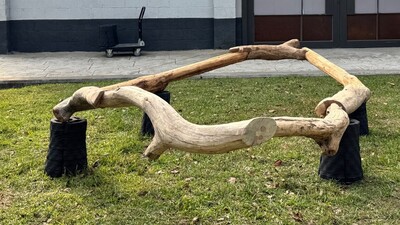獲獎作品《漂光之森》